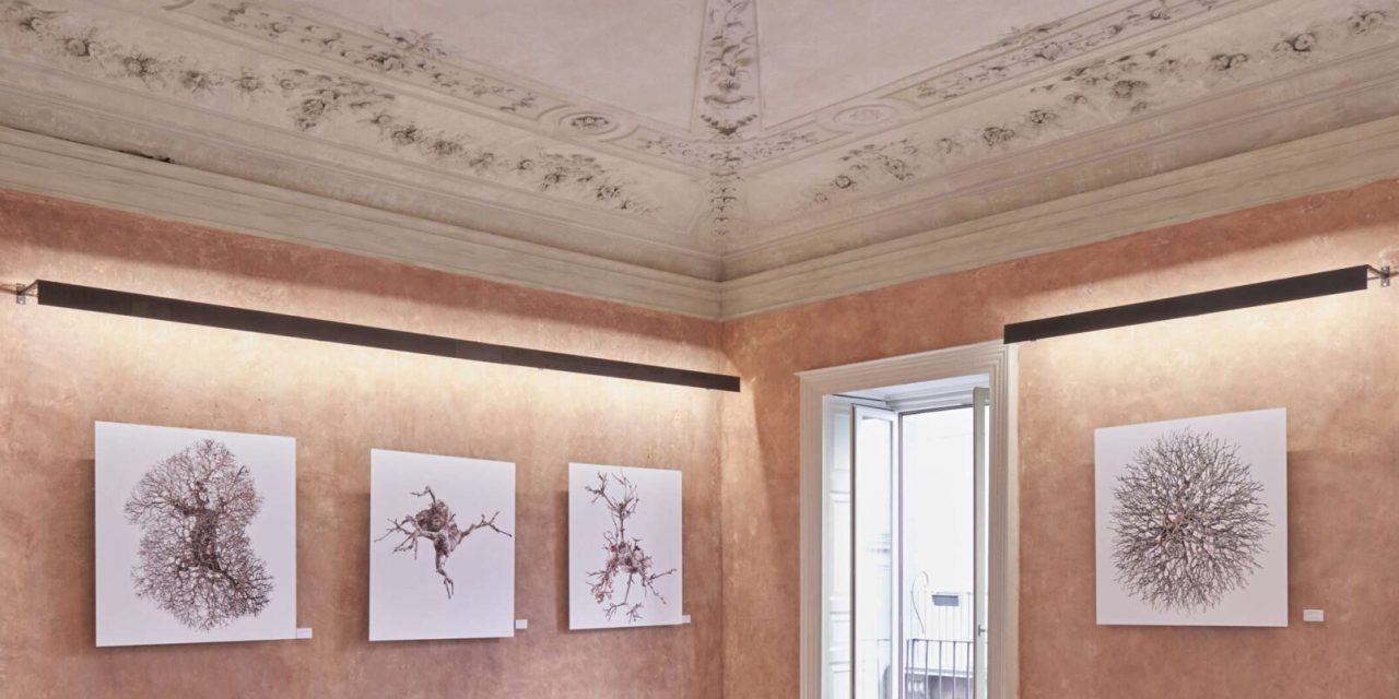 sala1